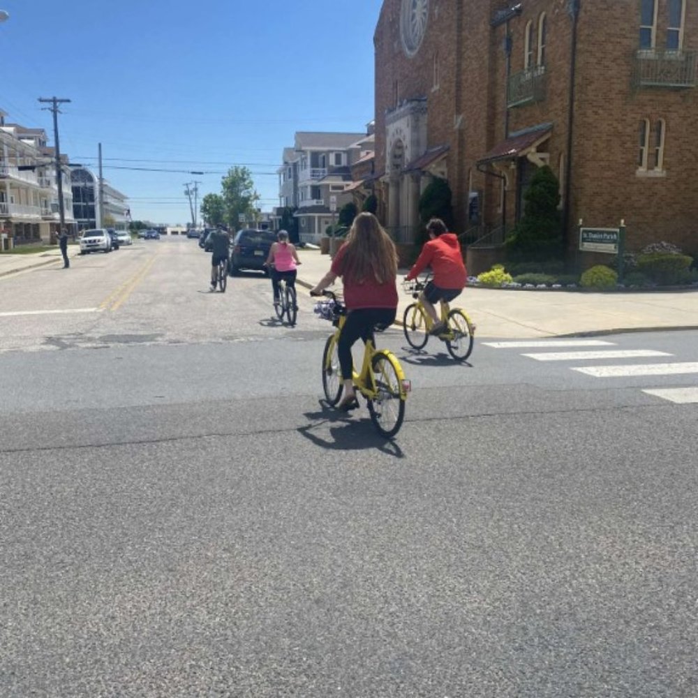 Meet your Posher, Abby